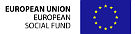 european social fund